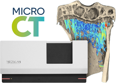 microCT
