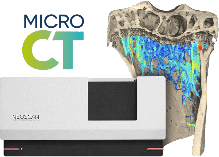 microCT